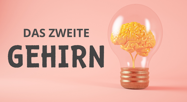 Darm - Hirn Verbindung: Bist du gestresst, ist dein Darm es auch!