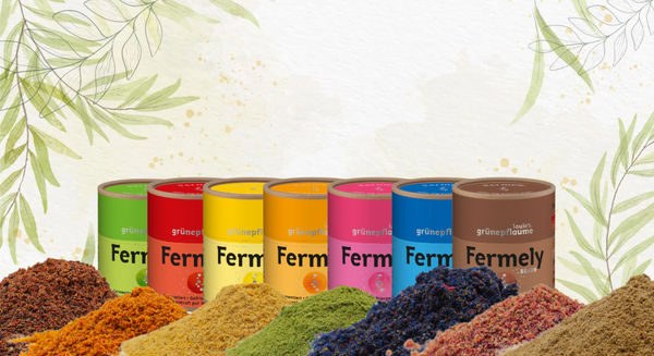 Fermely – deine bunte Pflanzenroutine in Pulverform