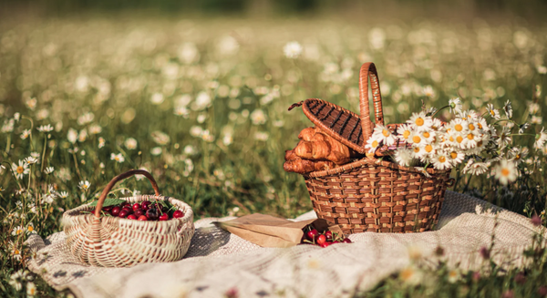 Picknick im Freien auf einer Wiese mit Gänseblümchen: Zwei geflochtene Körbe, gefüllt mit Croissants, Kirschen und einem Blumenstrauß, auf einer Decke ausgebreitet
