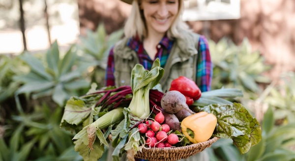 Frau hält einen Korb mit frisch geerntetem Frühlingsgemüse wie Radieschen, Mangold, Paprika, Roter Bete und Pak Choi im Garten.