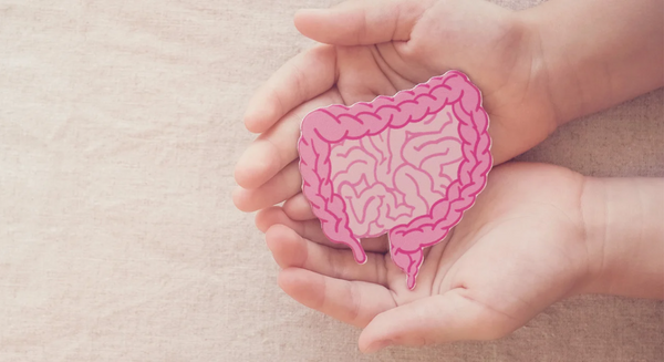 Effektive Mikroorganismen für die Verdauung