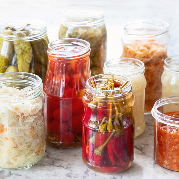 Die Moderne Anwendung der Fermentation: Tradition trifft Innovation