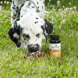 Wolfsgemüse PRO mit Darmflorastabilisatoren