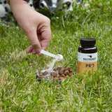 Wolfsgemüse PRO mit Darmflorastabilisatoren