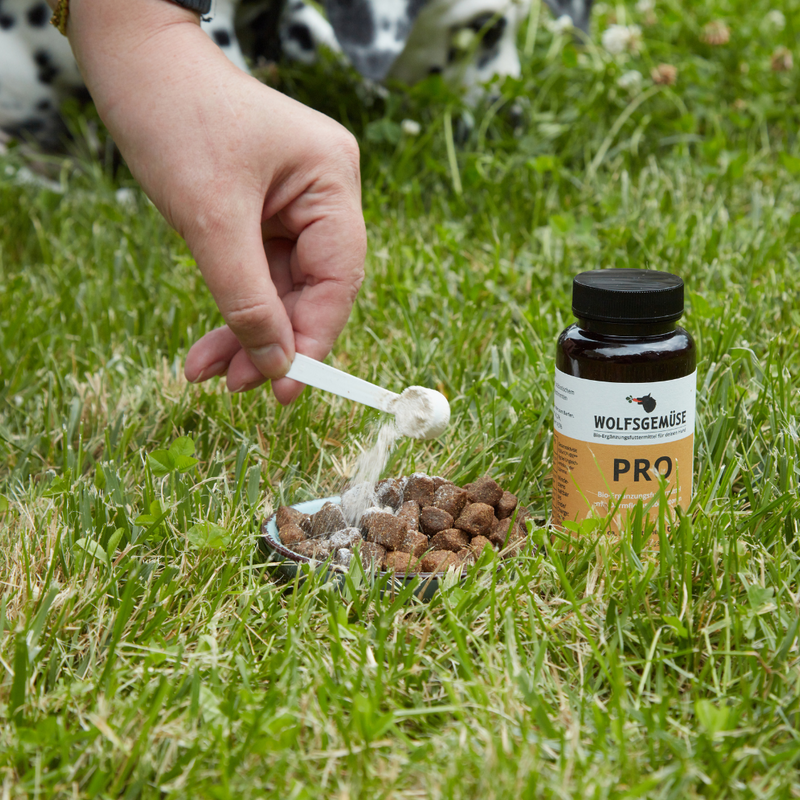 Wolfsgemüse PRO mit Darmflorastabilisatoren