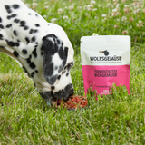 Wolfsgemüse Fermentiertes Bio-Gemüse (frisch)