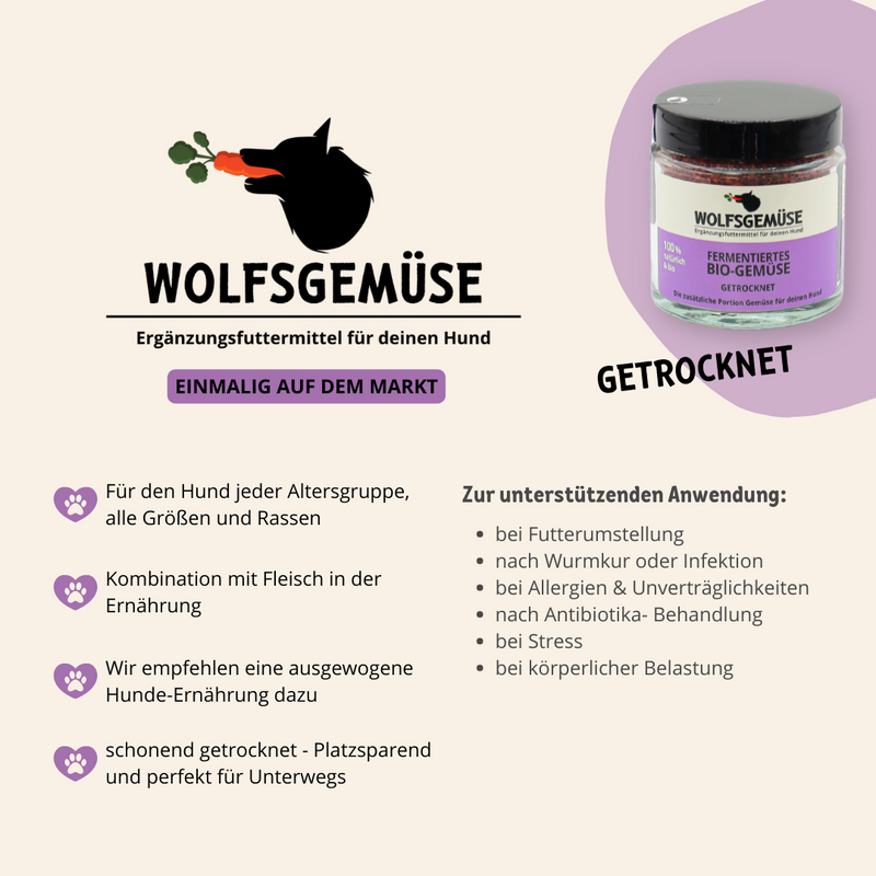 Wolfsgemüse Fermentiertes Bio-Gemüse (getrocknet)