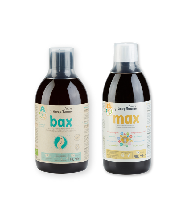 Bax & Max Set
