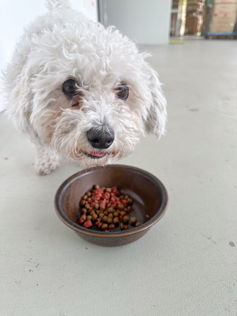 Wolfsgemüse Fermentiertes Bio-Gemüse (getrocknet)