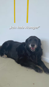 Wolfsgemüse Fermentiertes Bio-Gemüse (getrocknet)