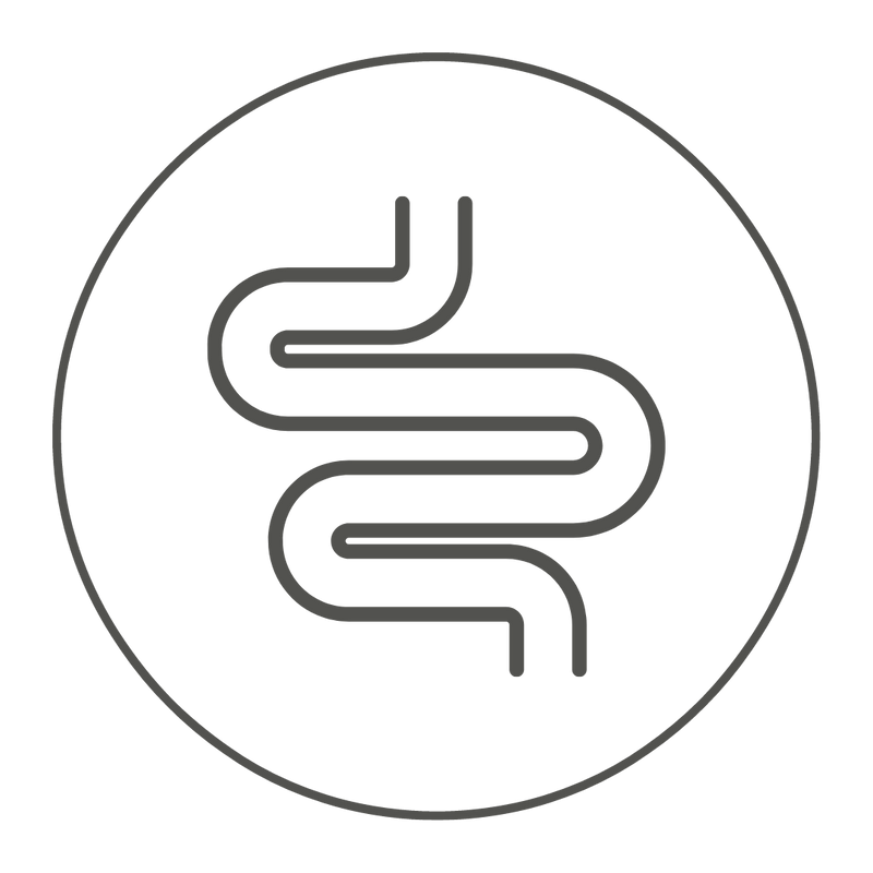 Darm icon schwarz weiß