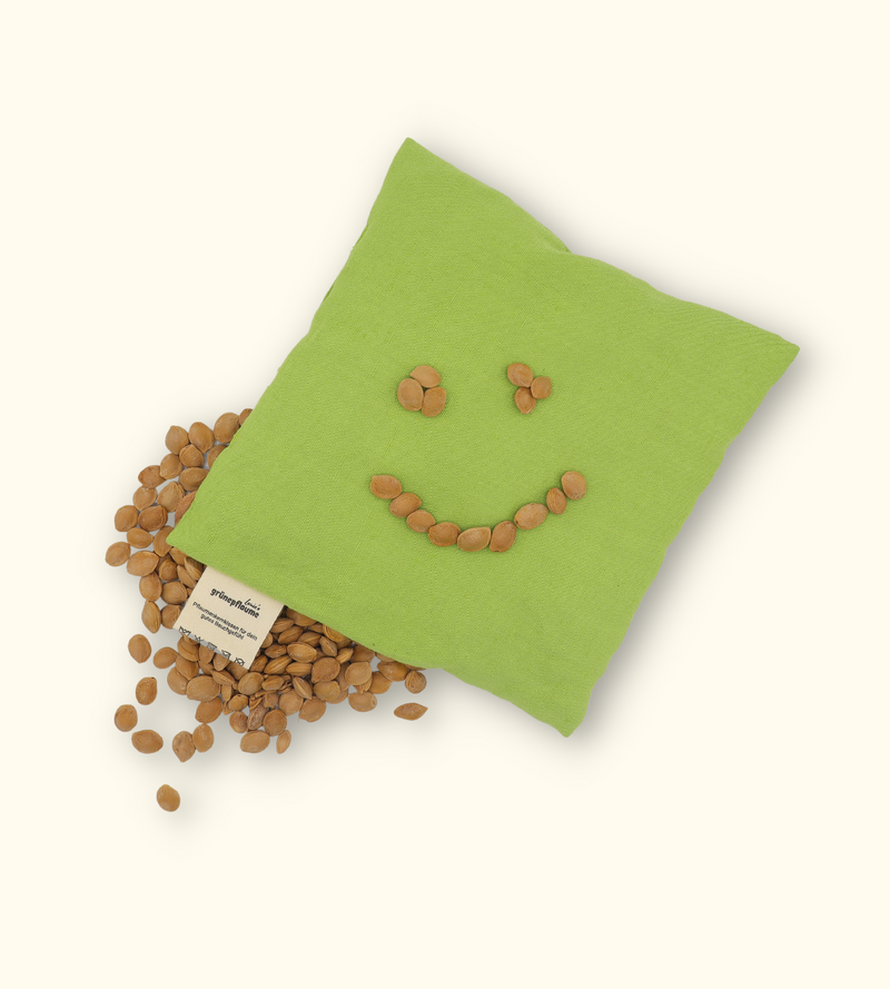 Bio-Pflaumenkernkissen